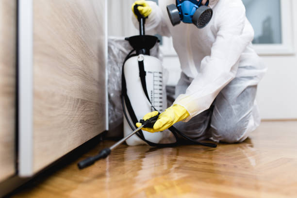 Best Cockroach Control Services  in Newport, MN
