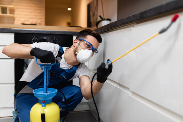 Best Residential Pest Control  in Newport, MN