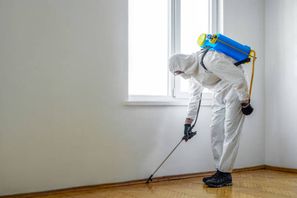 Best Pest Prevention Services  in Newport, MN