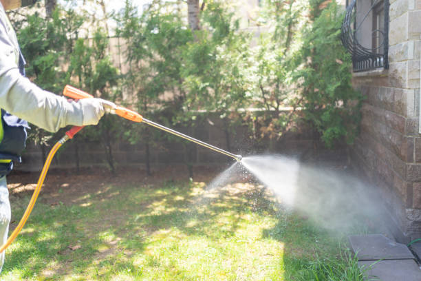 Best Pest Prevention Services  in Newport, MN