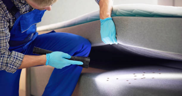 Best Best Pest Control Companies  in Newport, MN