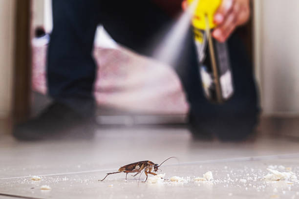 Best Exterminator Services  in Newport, MN