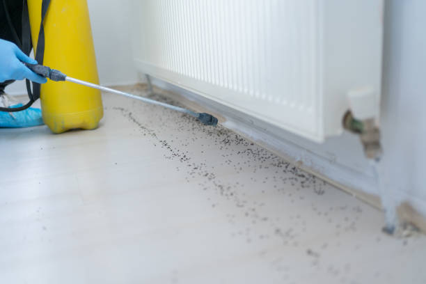 Best Emergency Pest Control  in Newport, MN